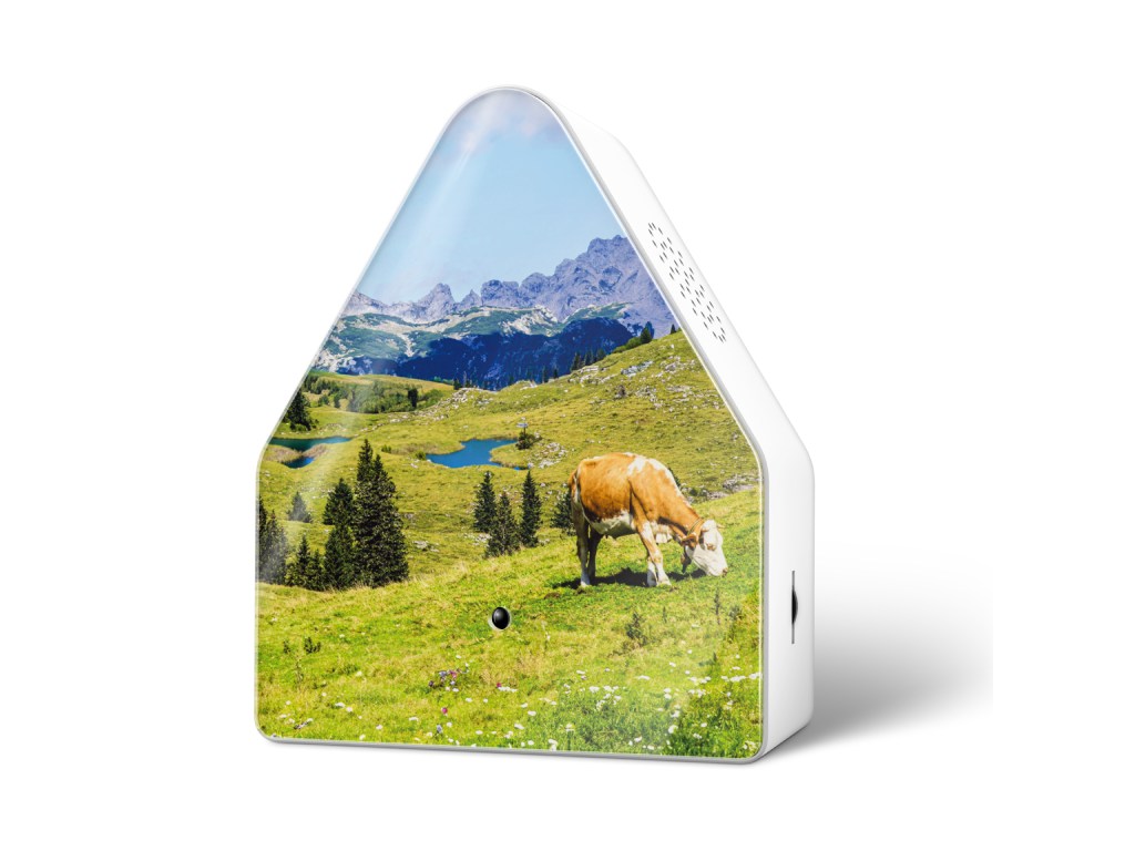 Heidibox Alpine Meadow